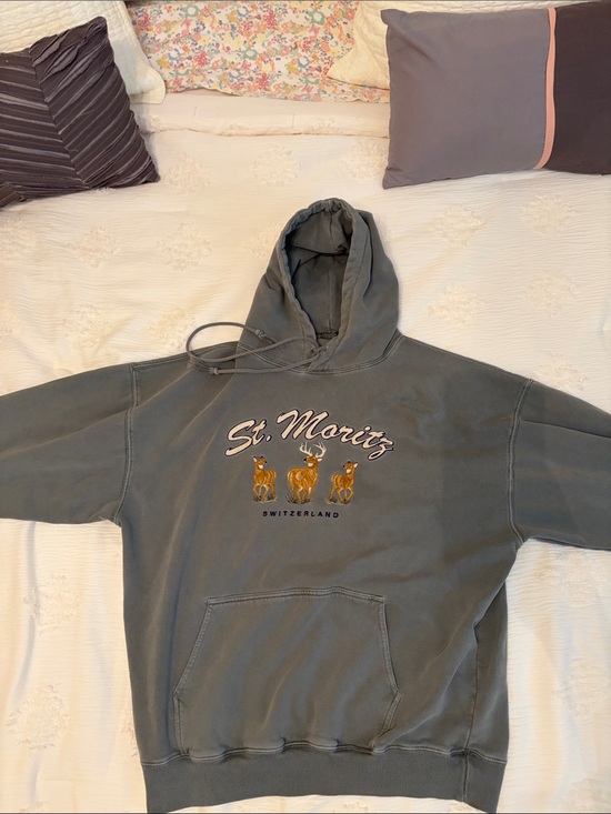 Brandy Melville Tops - Brandy Melville Gray St. Moritz Hoodie
